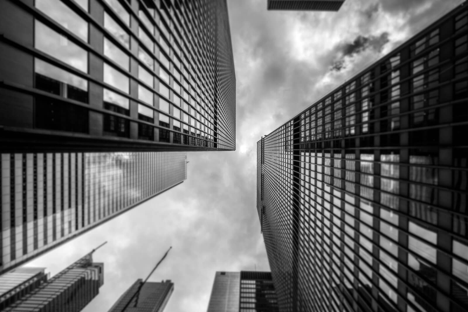 Odoo CMS - un immagine grande